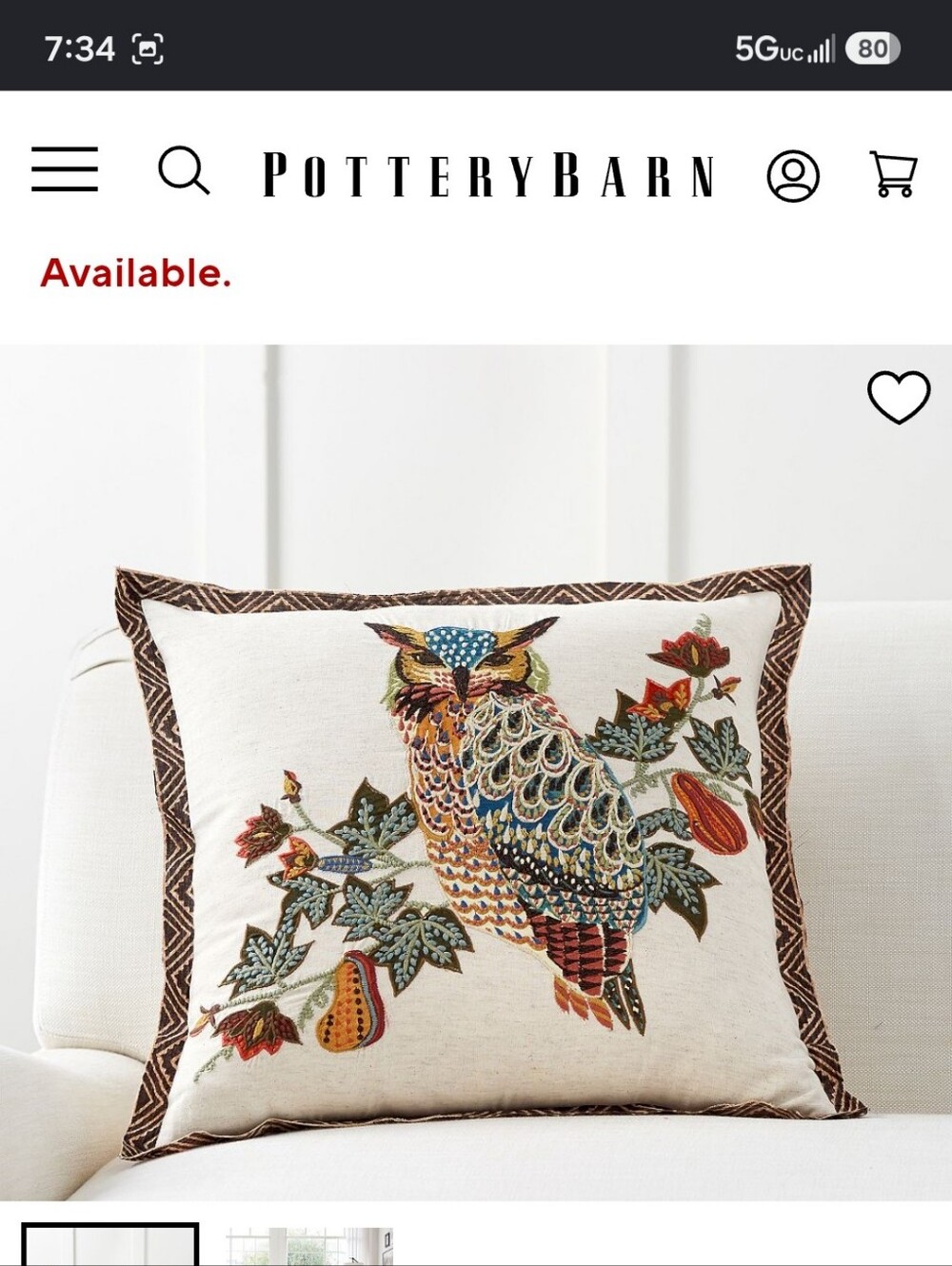 2 Pottery Barn Embroaderied Owl Shams